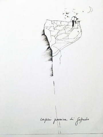 Giosetta Fioroni - Capri